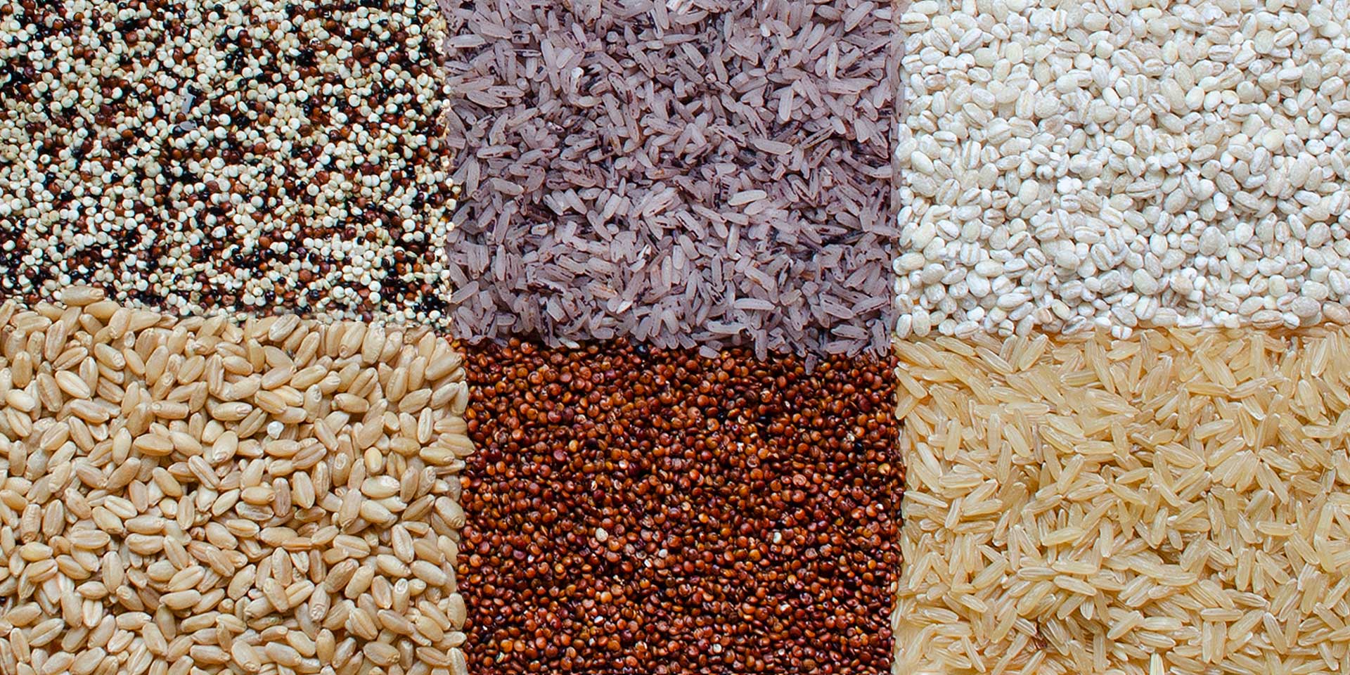 variety of grains