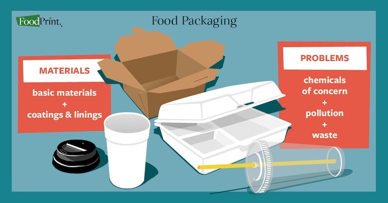 disposable food packaging examples