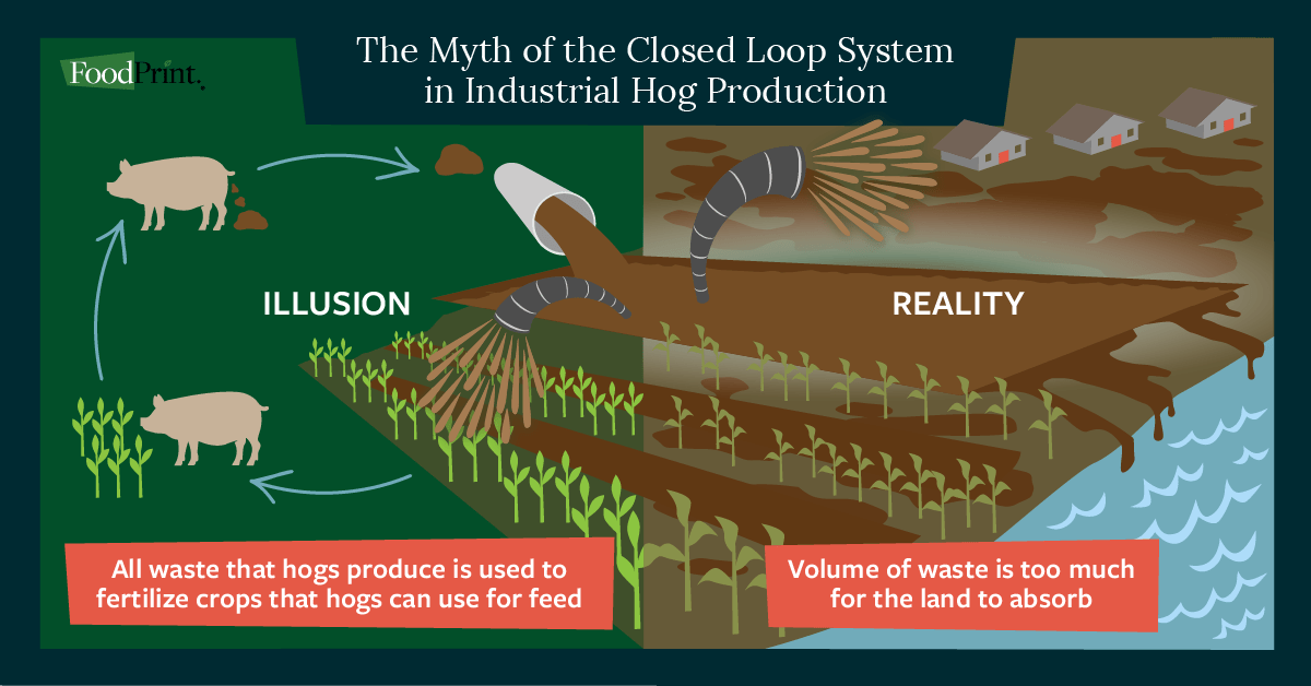 myth of a closed loop pork system
